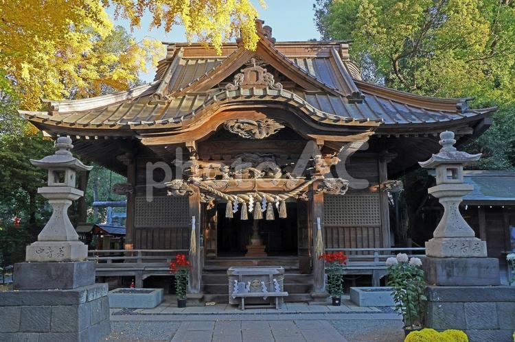 田無神社（西東京） 田無神社,旧弥尉殿大権現社,旧村社の写真素材