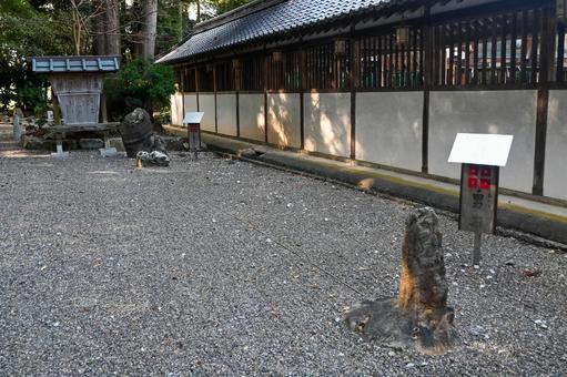 滋賀・近江八幡市 沙沙貴神社 男石・女石 滋賀・近江八幡市 沙沙貴神社 男石・女石の写真