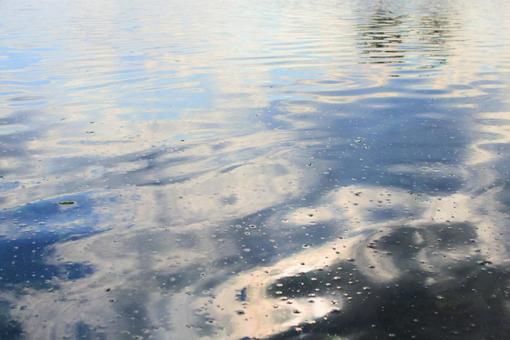 水面 水面の写真