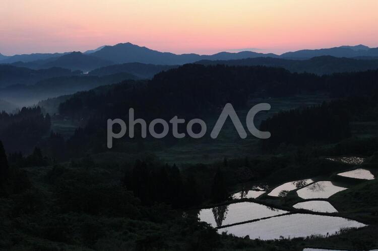 夕焼けの棚田 夕焼け,棚田,反射の写真素材
