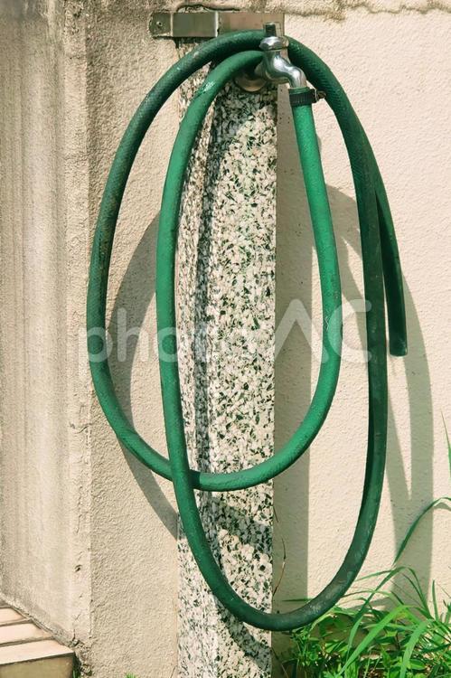 水栓柱と古いゴム製ホース ホース,水飲み場,水栓柱の写真素材