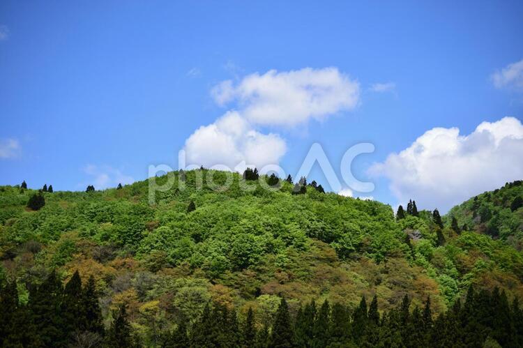 翠緑のお山と お山,夏,空の写真素材