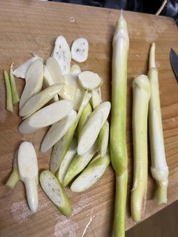 真菰 真菰,まこも,マコモの写真素材