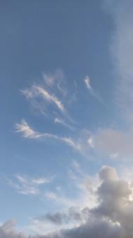 夏の青空 夏の青空の写真