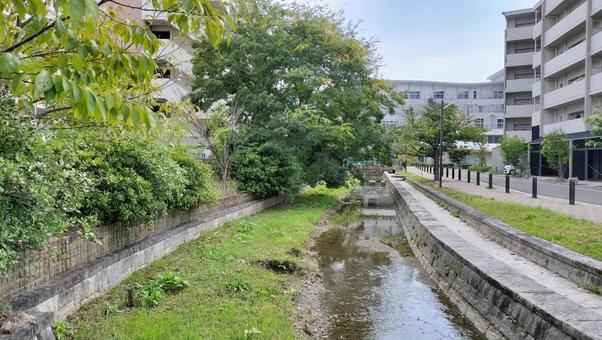 京都 川 京都,川,高瀬川の写真素材