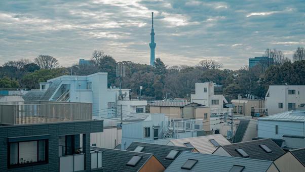 スカイツリーと街並み スカイツリーと街並みの写真