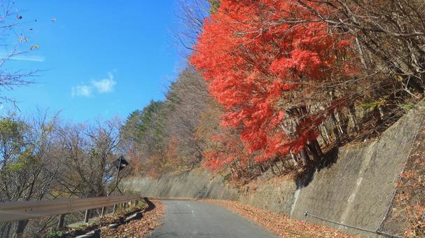 紅葉ドライブ 那須塩原 紅葉ドライブ 那須塩原の写真