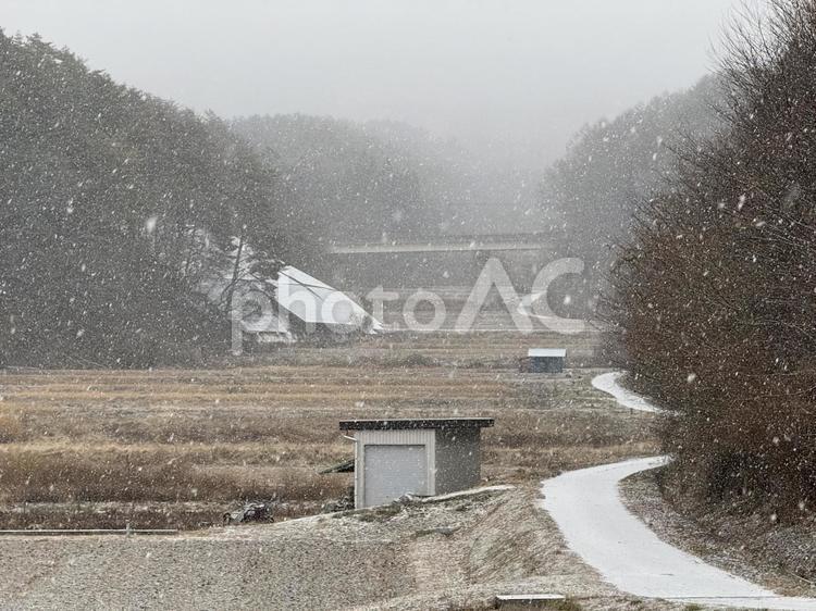 雪が舞う塩尻市の谷戸地形 谷戸地形,雪,snowの写真素材