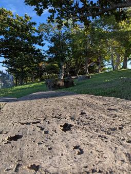 石のベンチ 公園 石のベンチ 公園の写真