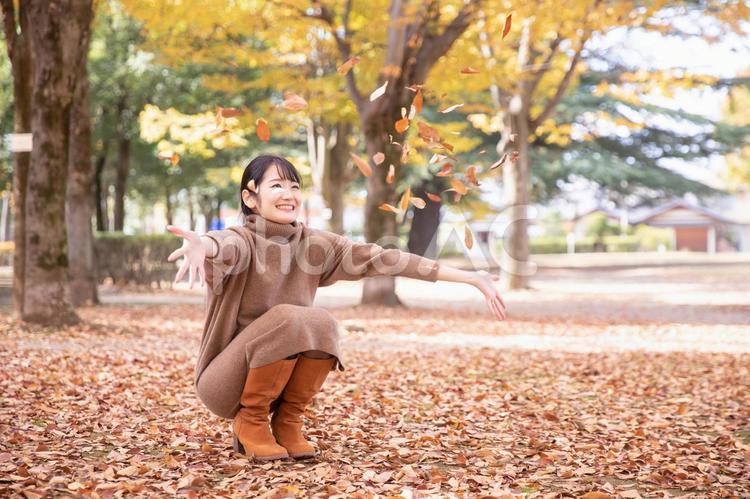 秋の公園の落ち葉で遊ぶ女性 秋,紅葉,女性の写真素材