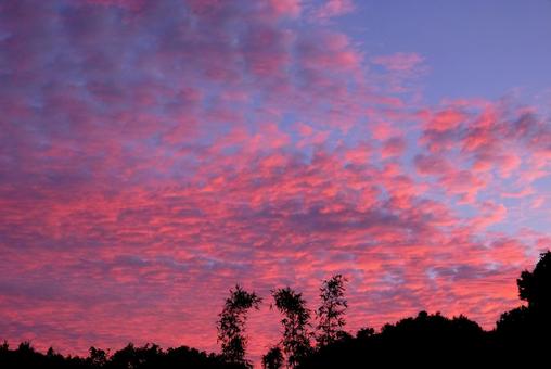 夕焼け 夕焼けの写真