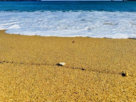 那智海水浴場　ブルービーチ那智 ビーチ,那智の浜,海水浴場の写真素材