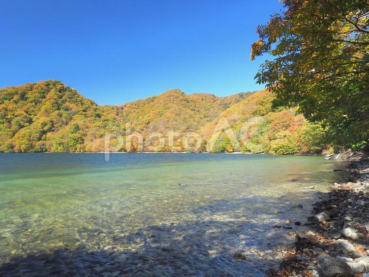秋の中禅寺湖と青空 中禅寺湖,秋,紅葉の写真素材