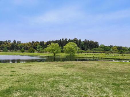 偕楽園公園の月池の畔 偕楽園公園の月池の畔 偕楽園公園,月池の畔,広場の写真素材