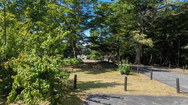 福島県 福満虚空蔵尊 円蔵寺の参道 福島県 福満虚空蔵尊 円蔵寺の参道 自然,木々,木漏れ日の写真素材
