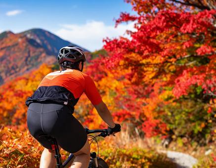 紅葉の峠道を走るサイクリスト 紅葉の峠道を走るサイクリストの写真