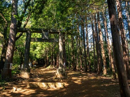 日和田山 一の鳥居 日和田山 一の鳥居の写真