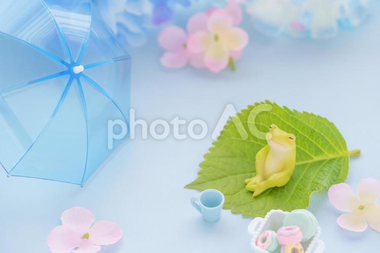 梅雨のイメージ｜傘とカエルとあじさいの花 カエル,梅雨,傘の写真素材