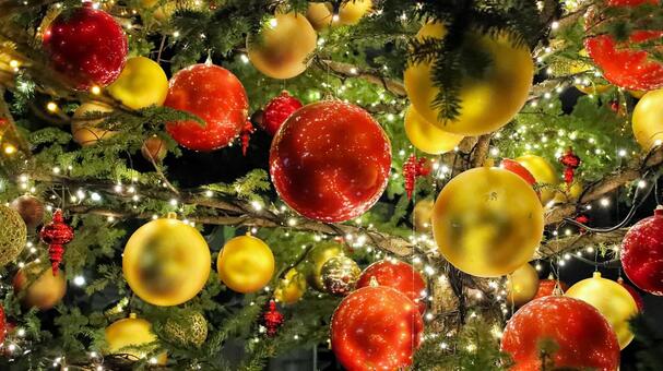 はままつフラワーパーク　イルミネーション イルミネーション,クリスマス,夜景の写真素材