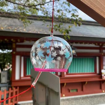 風鈴 風鈴 風鈴,寺,イベントの写真素材