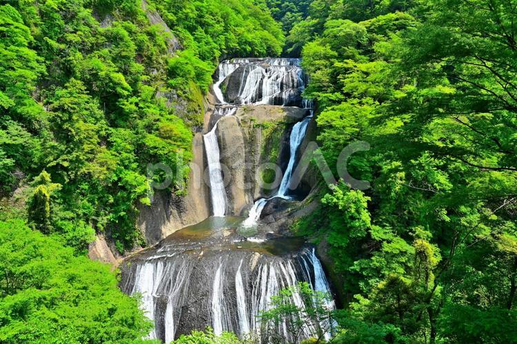 新緑の袋田の滝（茨城袋田） 滝,名瀑,日本三大名瀑の写真素材
