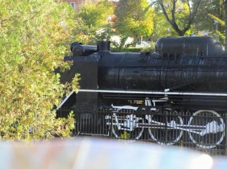 木の合間から 自然,木々,葉っぱの写真素材