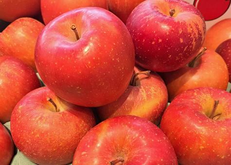 山積みのたくさんのリンゴ 林檎,フルーツ,リンゴの写真素材