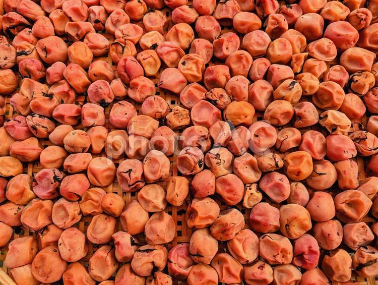 梅干 梅干し,シソ梅,うめの写真素材