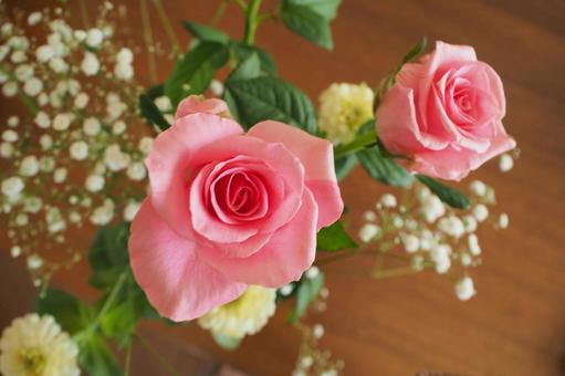 薔薇 薔薇の写真