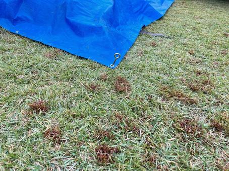 ブルーシートにペグを打ち込んだ様子 ペグ,打ちこみ,様子の写真素材