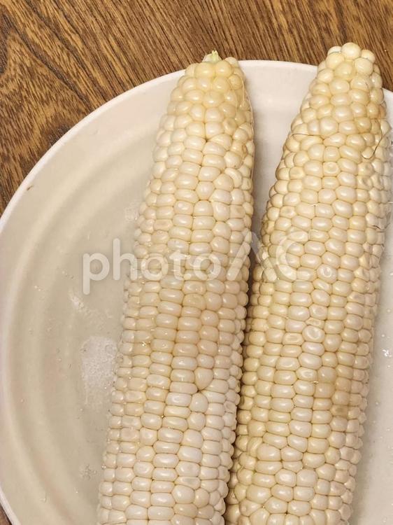 とうもろこし② とうもろこし,トウモロコシ,おいしいの写真素材