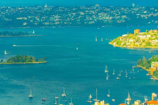 シドニーの朝焼け ヨット,海,高層ビルの写真素材