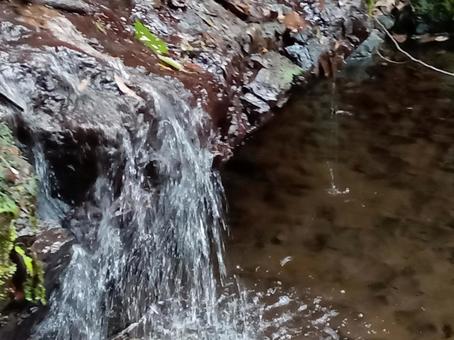 水無瀬の滝 水無瀬の滝の写真