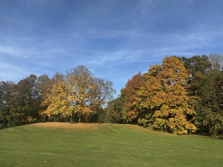 晩秋の公園 秋,公園,紅葉の写真素材