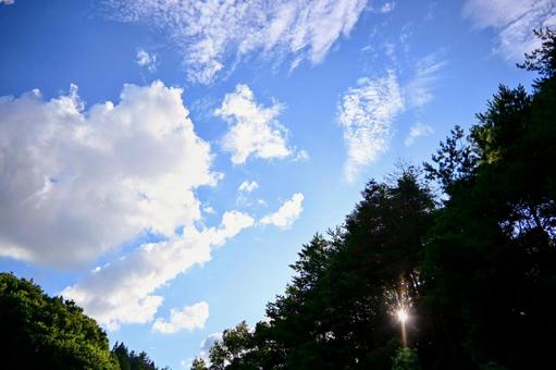 夏の午後、木漏れ日と青空 夏の午後、木漏れ日と青空 青空,空,雲の写真素材