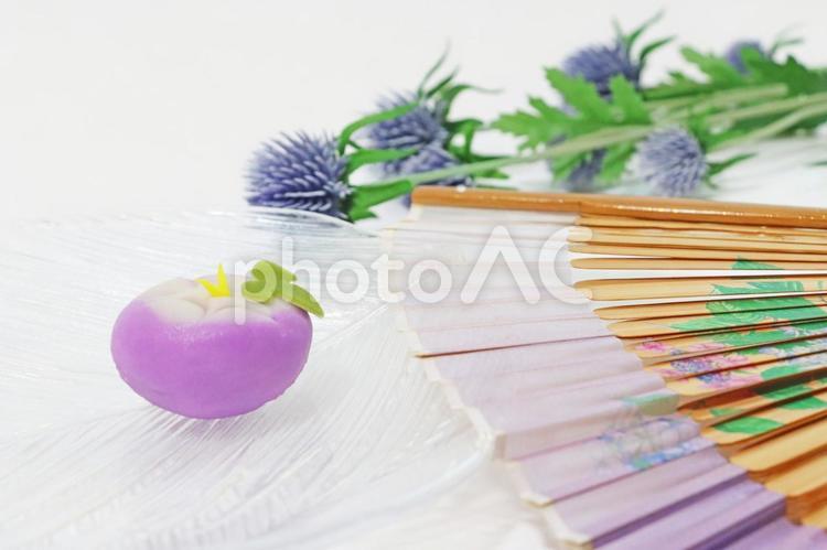 アサガオの上生菓子と涼しげな扇子の背景 和菓子,あさがお,扇子の写真素材