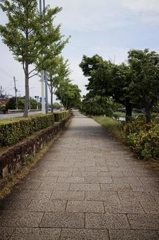 花の回廊イメージ素材 花の回廊イメージ素材の写真