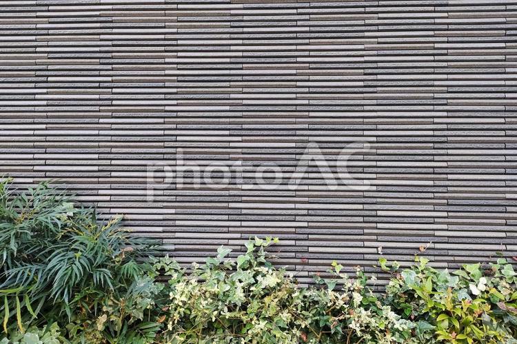観葉植物とタイルの背景素材 背景,タイル,観葉植物の写真素材