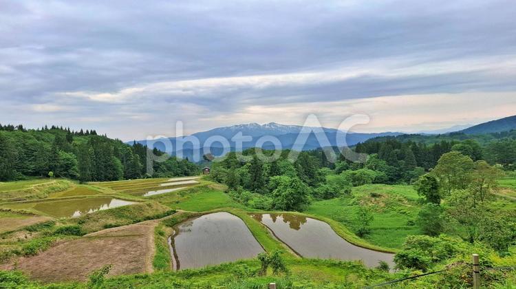 残雪の山々と棚田のリフレクション 水田,水鏡,棚田の写真素材