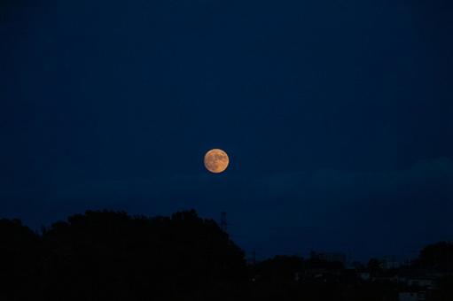 月 夜の風景 月 夜の風景の写真