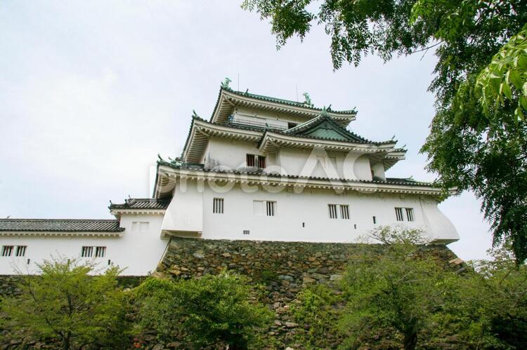 和歌山城の天守閣 和歌山城,天守閣,石垣の写真素材