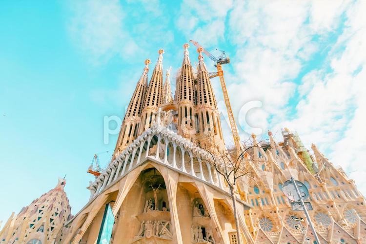 【スペイン】サクラダファミリア スペイン,バルセロナ,サクラダファミリアの写真素材