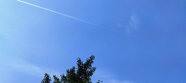 空202305080505の写真