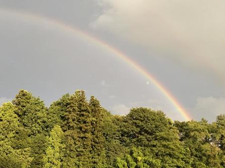 夏の二重虹 夏の二重虹の写真