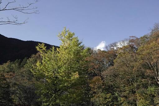 秋めいてきた山と青空 秋めいてきた山と青空の写真