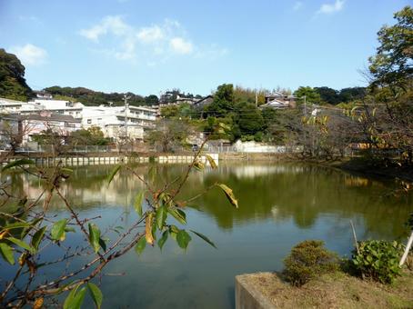 10月の鎌倉市玉縄・谷戸池の風景 池,水,水辺の写真素材