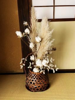 綿花 綿花,秋,ドライフラワーの写真素材