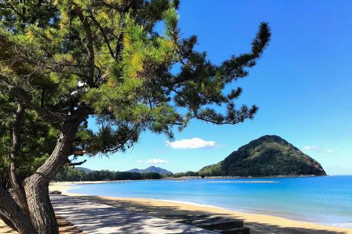 萩市菊ヶ浜-4 萩市菊ヶ浜-4 砂浜,松,ビーチの写真素材