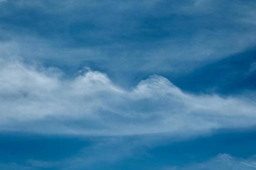 真夏の青空と白い雲 真夏の青空と白い雲の写真