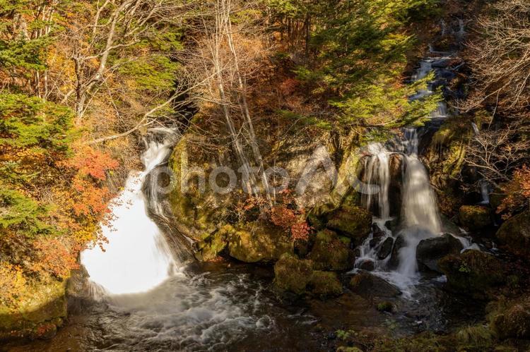 夕方の日差しが差し込む竜頭の滝 竜頭の滝,夕方,紅葉の写真素材